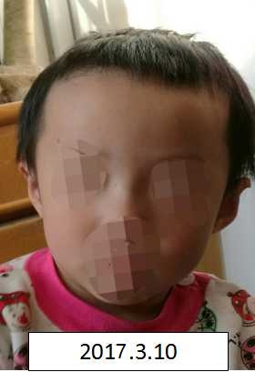 少萝被草网站